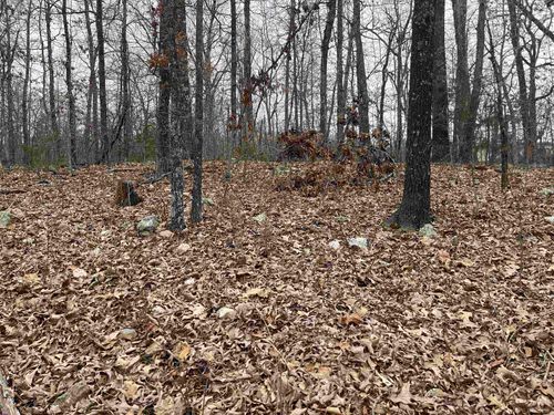 TBD Kamiakin Cir, Cherokee Village, AR, 72529 | Card Image