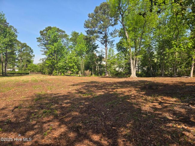 1254 Shenandoah St, Home with 0 bedrooms, 0 bathrooms and null parking in Wilmington NC | Image 14
