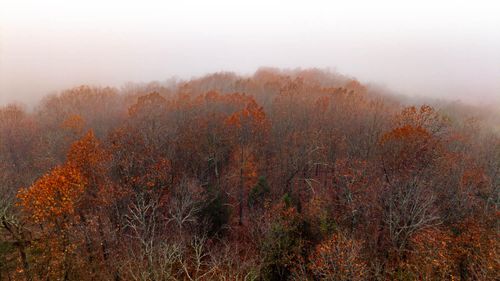 000 Country Rd, Gainesville, MO, 65655 | Card Image