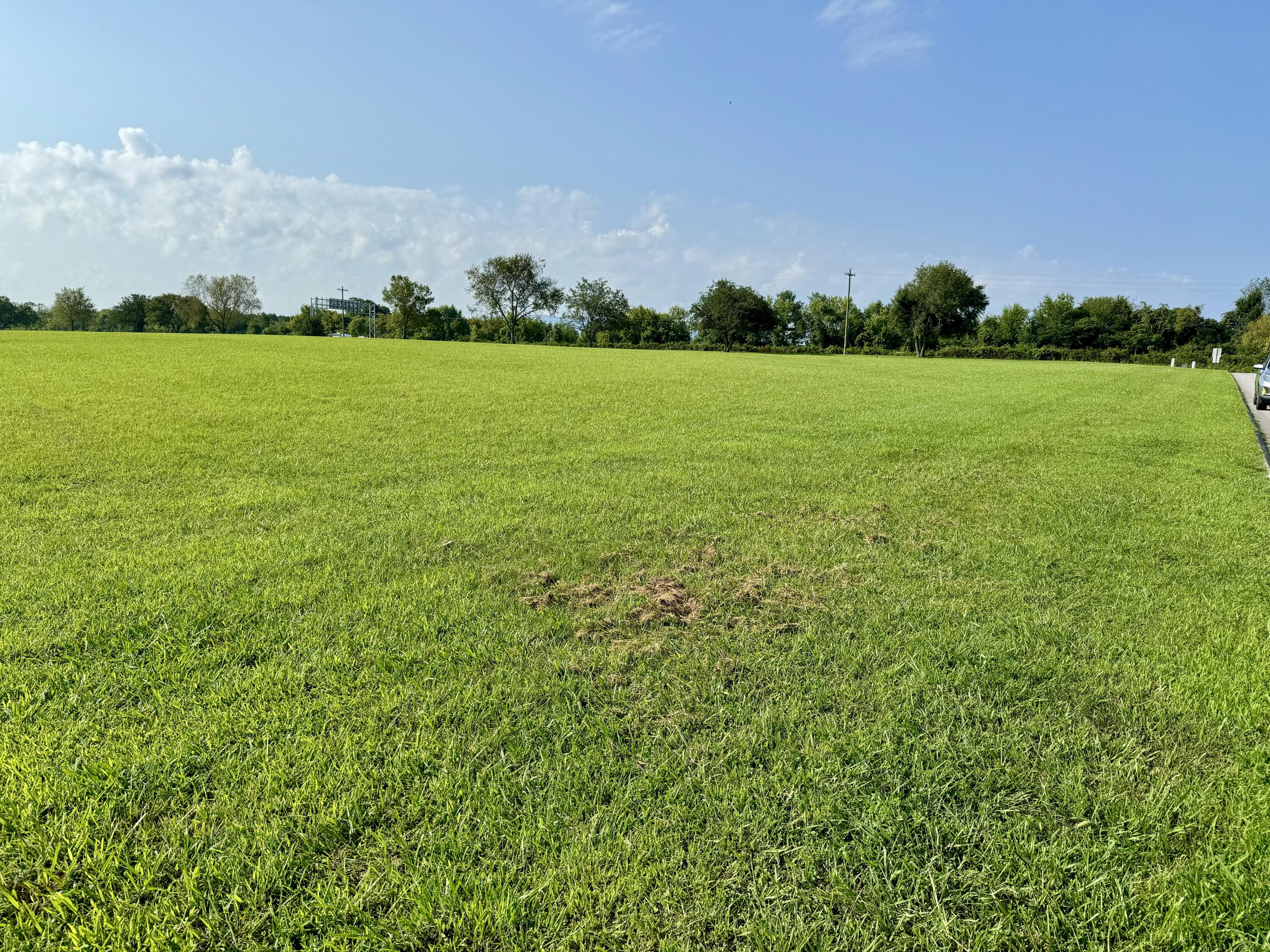 Land in Dandridge 4