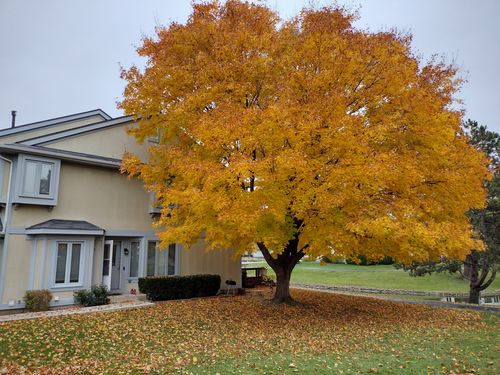 399 Catbird Ln, Deerfield, IL, 60015-3689 | Card Image