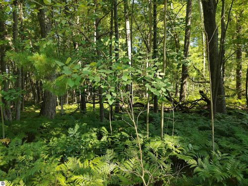 VL Grass Lake Rd, West Branch, MI, 48661 | Card Image