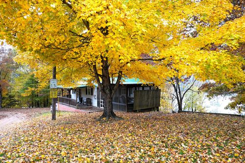 211 Lewis Cir, Dover, TN, 37058-5819 | Card Image