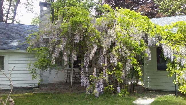 73798 Floral St, House other with 3 bedrooms, 2 bathrooms and null parking in Armada MI | Image 36