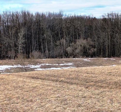 Sec 11 Crow Road, Willard, WI, 54493 | Card Image