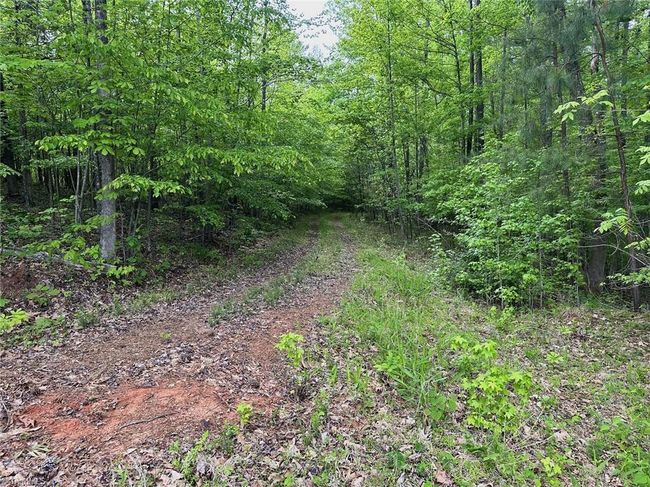 0 Windchester Ln, Home with 0 bedrooms, 0 bathrooms and null parking in Blanch NC | Image 11