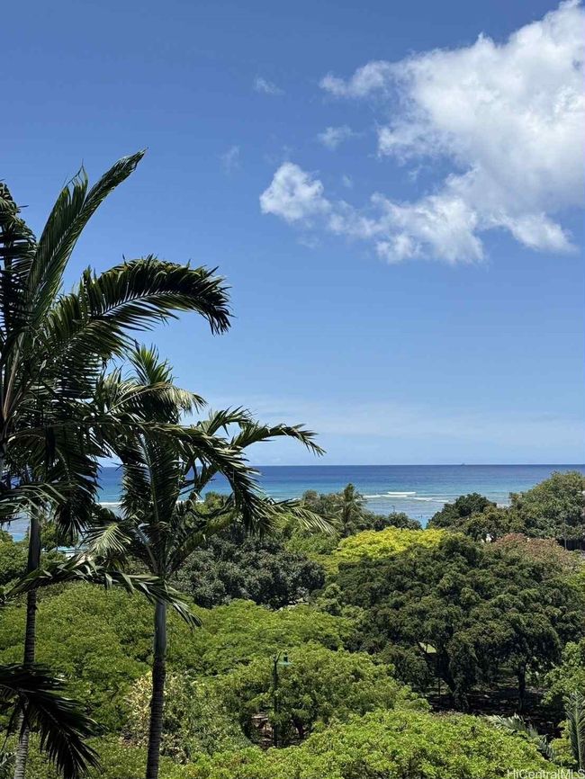 View from Lanai | Image 21