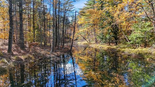 60 Sequoia Lane, Waterboro, ME, 04061 | Card Image