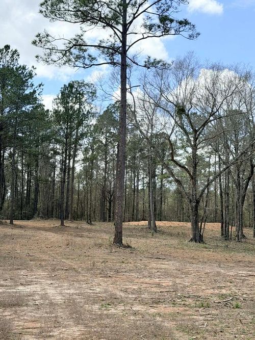 NHN Antler Ridge Rd, Poplarville, MS, 39470 | Card Image