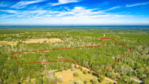 Lot 2 & 3 Portico, Livingston, TX, 77351 | Card Image
