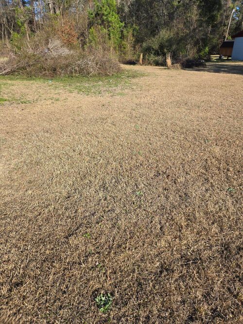 0 Bass Dr, Holly Hill, SC, 29059 | Card Image