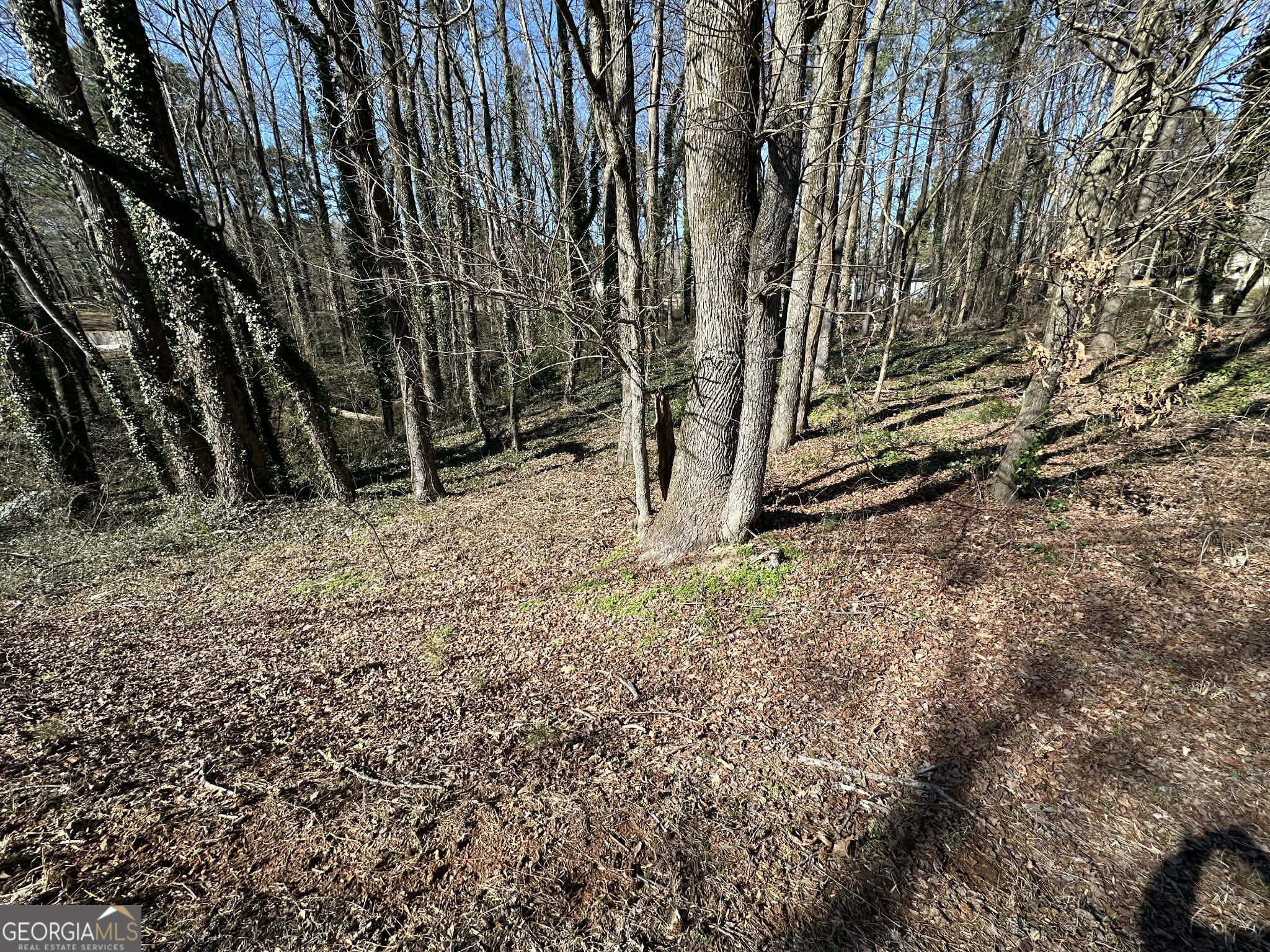 Land in Carrollton 5