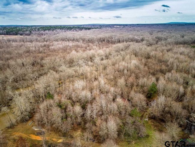 350 AC Cr 1322, Home with 0 bedrooms, 0 bathrooms and null parking in Reklaw TX | Image 13