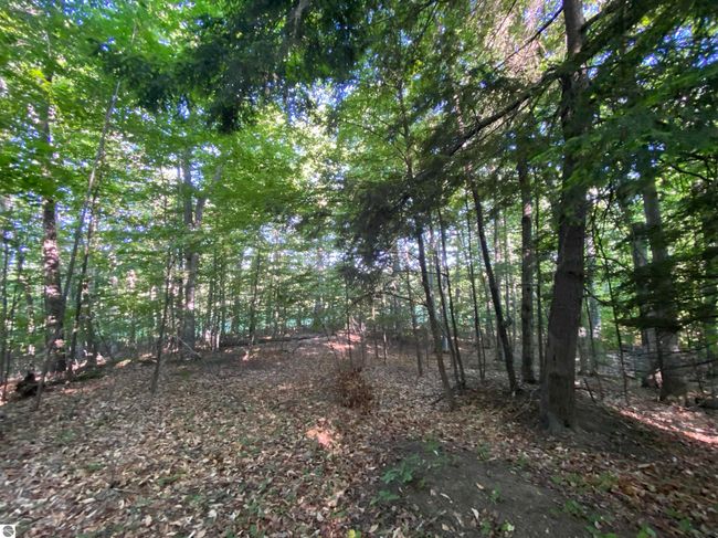 Lot 10 S Club Dr, Home with 0 bedrooms, 0 bathrooms and null parking in Cedar MI | Image 5