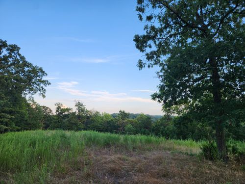 000 Peace Ln, Ridgedale, MO, 65739 | Card Image