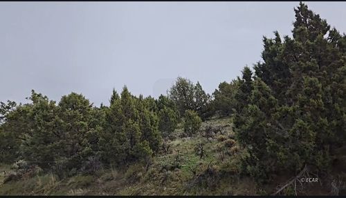 246 Greencrest Dr, Spring Creek, NV, 89815-5448 | Card Image
