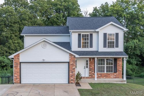 920 Parc Central Dr, Festus, MO, 63028-1264 | Card Image
