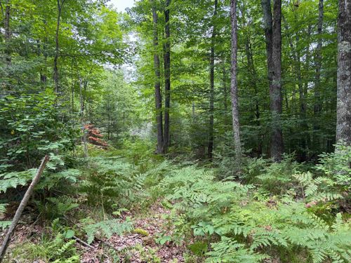 30 acres E Oneida Lane, PELICAN, WI, 54501 | Card Image