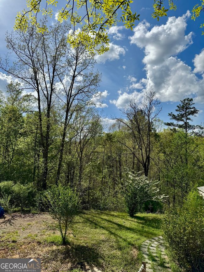1037 County Road 43, Home with 0 bedrooms, 0 bathrooms and null parking in HEFLIN AL | Image 19