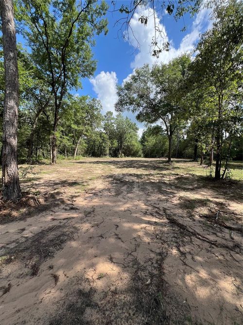 TBD Lot 2 Deerwood Dr, Plantersville, TX, 77363 | Card Image