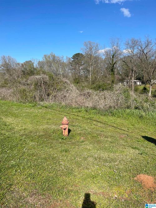 1-0 Franklin Rd, Roanoke, AL, 36274 | Card Image