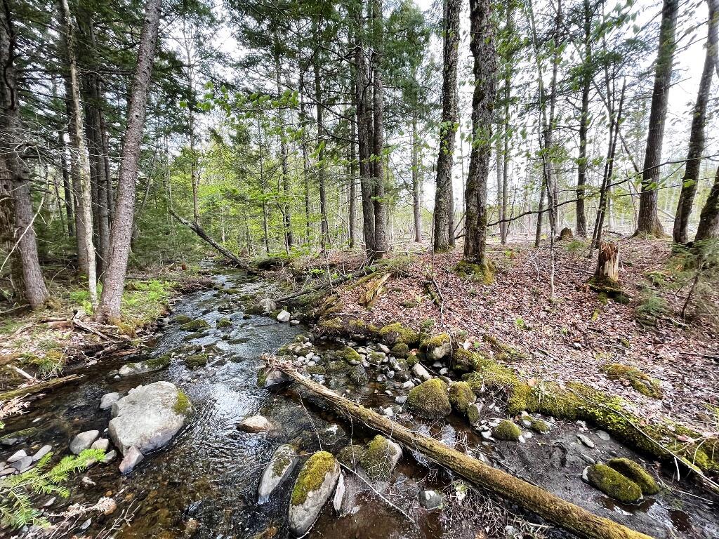 Land in Monson 4