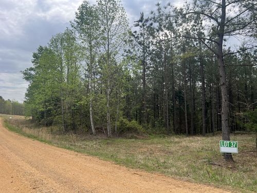 37 Pafford Ln, Erin, TN, 37061-2300 | Card Image