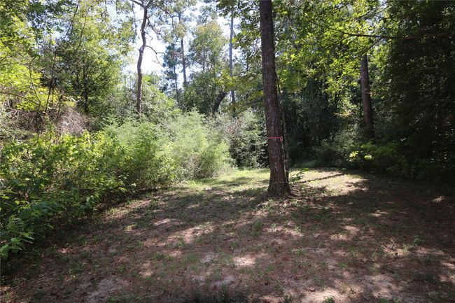 18156 State Highway 87 S, Home with 0 bedrooms, 0 bathrooms and null parking in Call TX | Image 4