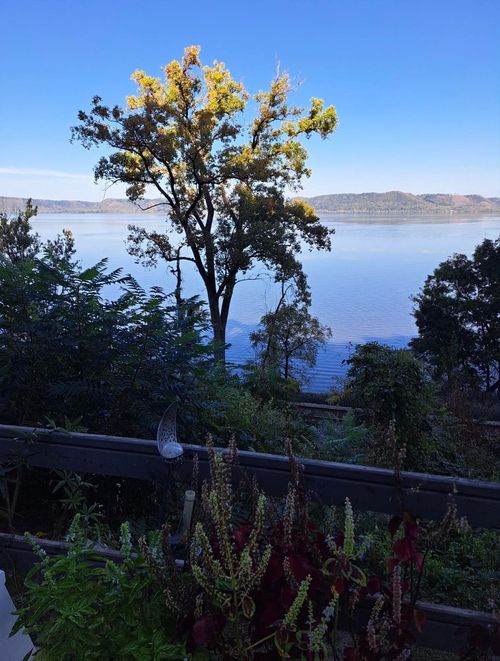 1632 River View Rd, Lansing, IA, 52151-7528 | Card Image