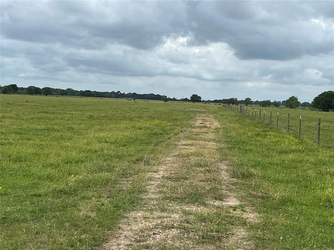 2627 Beasley West End Rd, Home with 0 bedrooms, 0 bathrooms and null parking in Beasley TX | Image 16