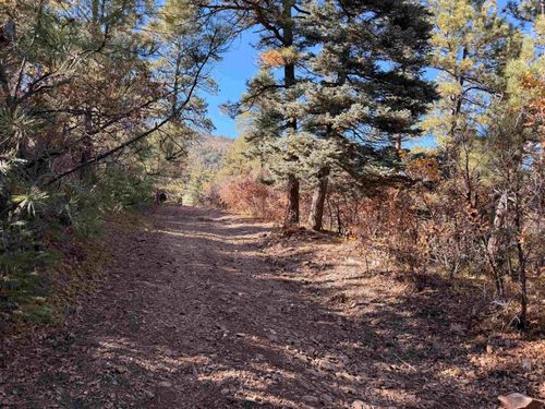 25 County Road A034, Guadalupita, NM, 87722 | Card Image