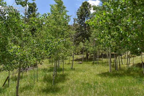 281 Deer Ln, Guffey, CO, 80820-9105 | Card Image
