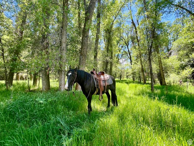 3 - 189 E Weber Canyon Rd, Home with 0 bedrooms, 0 bathrooms and null parking in Oakley UT | Image 19