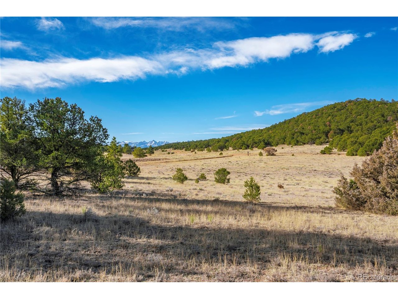 Land in Canon City 4