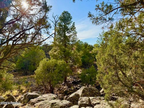 --1838 Rocky Bottom Pl, Show Low, AZ, 85901 | Card Image