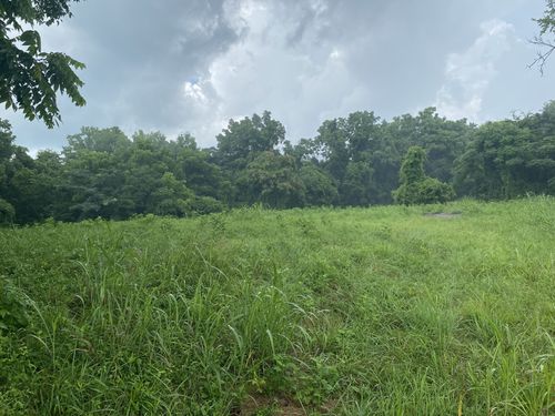 0 Johnson Road, Pulaski, TN, 38478 | Card Image