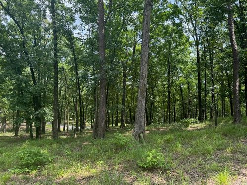 133 Bethesda Ave, Mena, AR, 71953 | Card Image