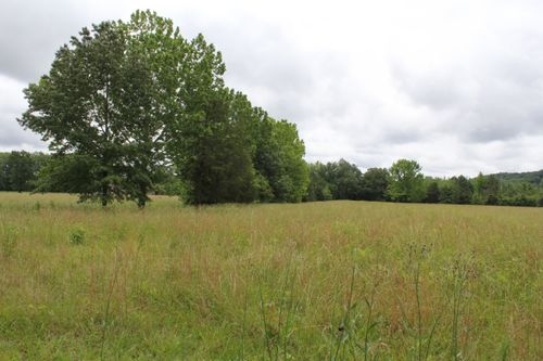 26461 Al Highway 33, Courtland, AL, 35618-3937 | Card Image