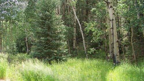 19 Princess Rd, Cripple Creek, CO, 80813 | Card Image