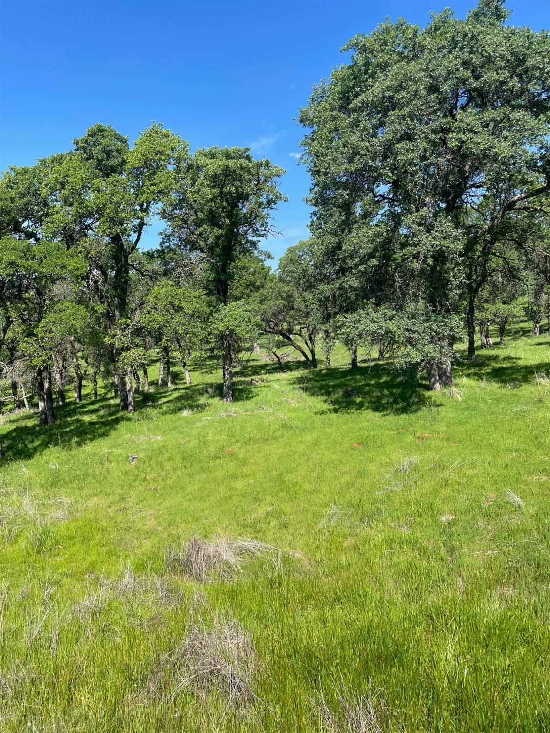 Land in Browns Valley