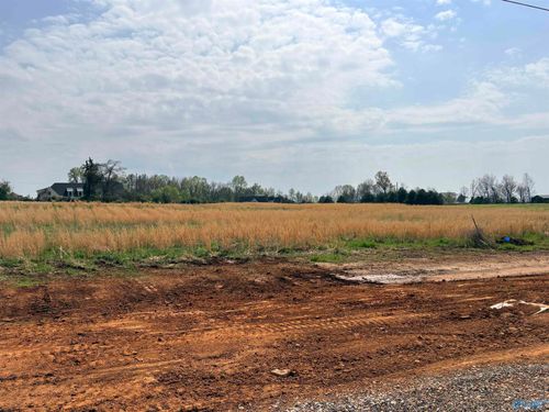 23678 Old Homeplace Way, Athens, AL, 35613-8579 | Card Image