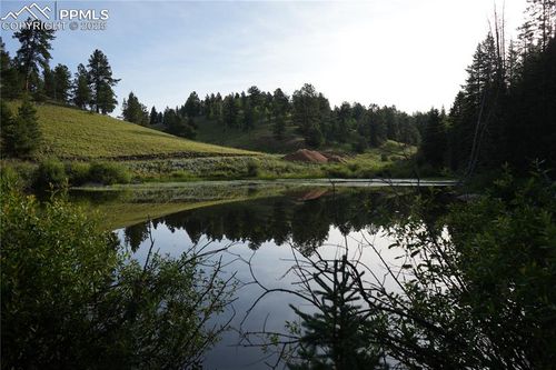 4195 Cedar Mountain Rd, Divide, CO, 80814-9166 | Card Image
