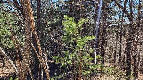 320 Foggy Cut Ln, Landrum, SC, 29356-3145 | Card Image