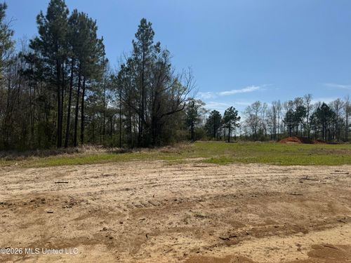 Lot 8 Oakley Lane, Lucedale, MS, 39452 | Card Image