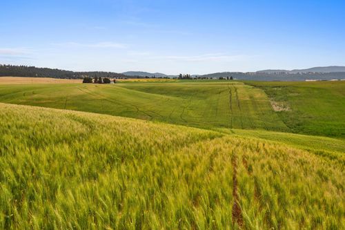 NKA N Bruce Rd, Mead, WA, 99021 | Card Image