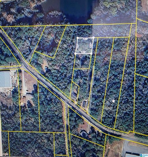 0-0 South Street, Roanoke, AL, 36274 | Card Image