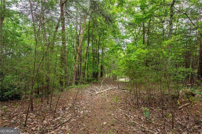 0 Terrace Way, Home with 0 bedrooms, 0 bathrooms and null parking in Jasper GA | Image 8