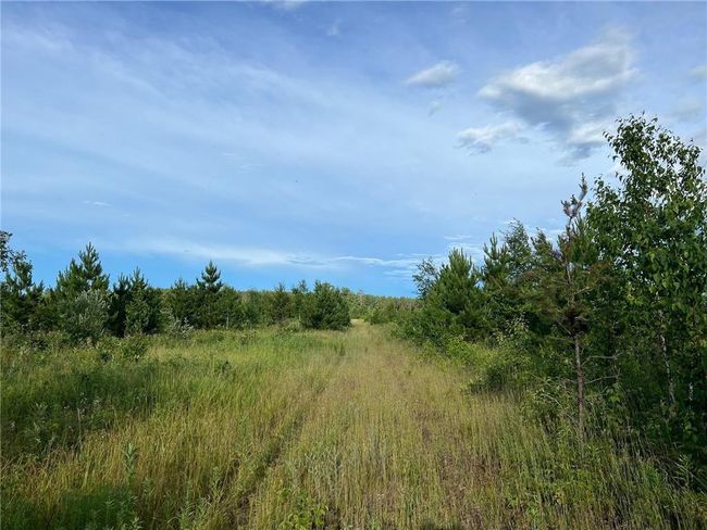 W39XX Frog Creek Rd, Home with 0 bedrooms, 0 bathrooms and null parking in MINONG WI | Image 5