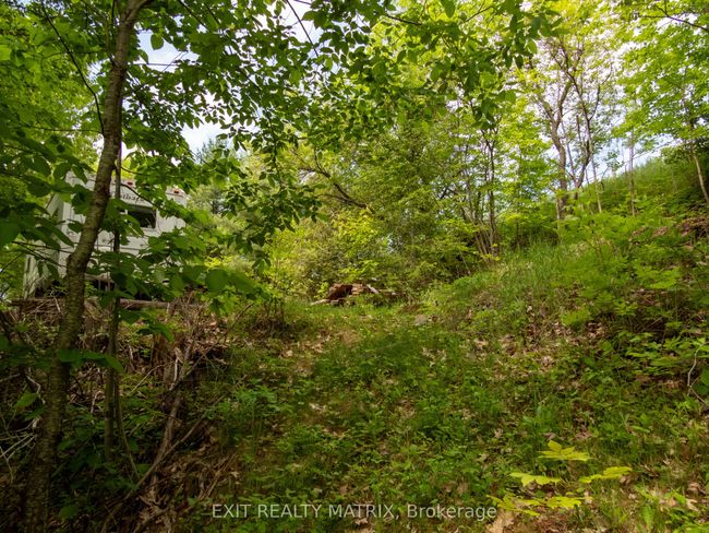 12654 Lanark Rd, Home with 0 bedrooms, 0 bathrooms and null parking in Calabogie ON | Image 17