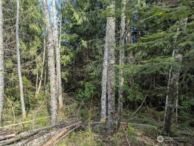 9999 Lone Tree Dr, Home with 0 bedrooms, 0 bathrooms and null parking in Sequim WA | Image 5